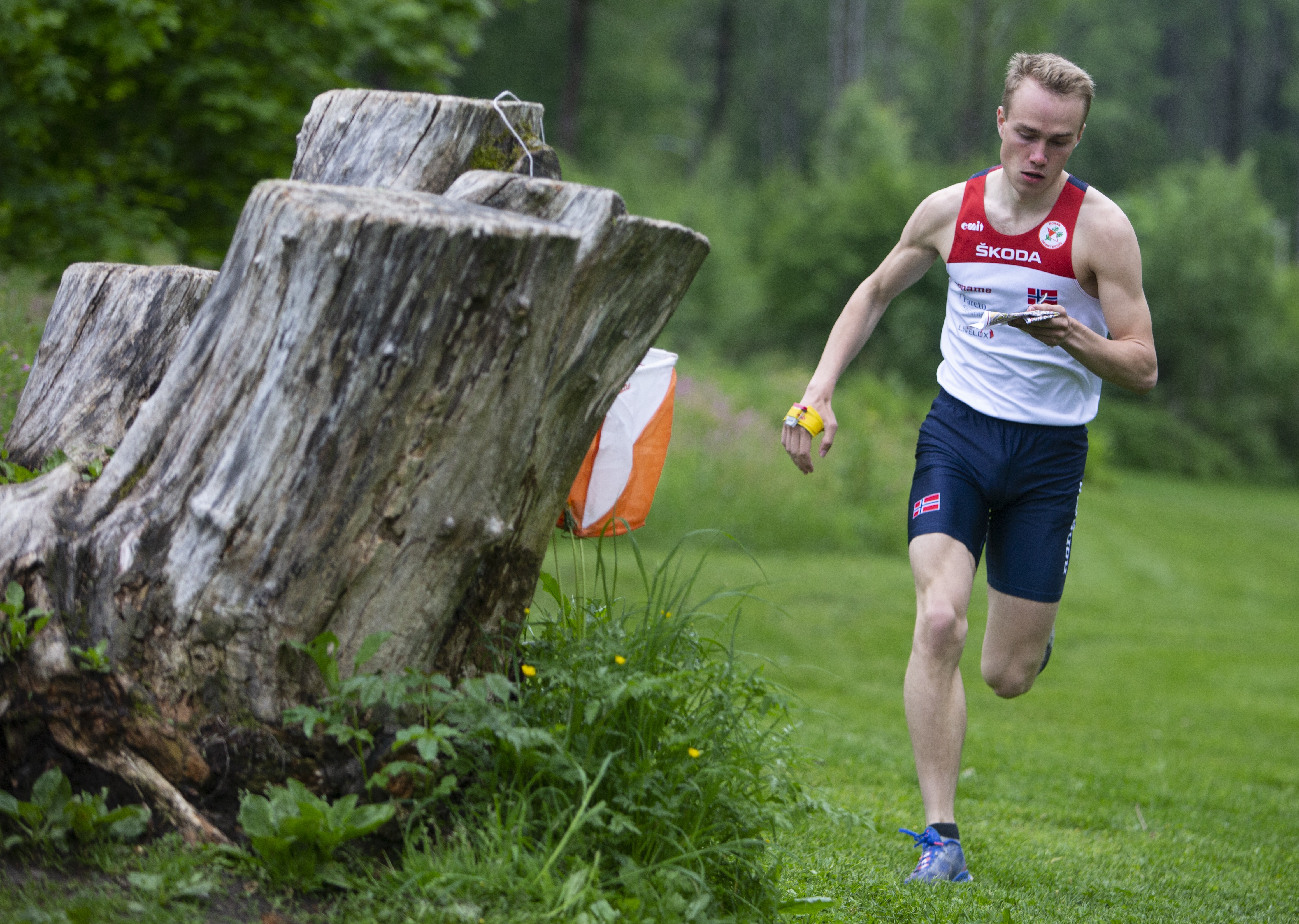 Orienteringsutøver i konkurranse i skogen, akkurat passert en post, ser ned på kartet han holder i hånden.